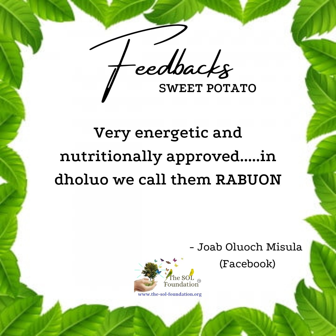 Thank you Joab for your feedback about sweet potatoes.

Do you like sweet potato? Tell us what it is called in your mother tongue! 😀

#thesolfoundation #facts #Healthy #healthyfood #feedback #solinitiative #endhunger #zerohunger #plantfood #planttrees #schoolgarden #community