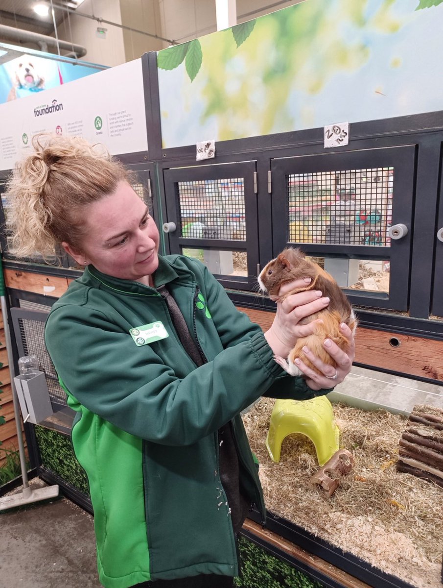 A student visits @PetsatHome to see animal health care in the work place as part of his careers curriculum. #thisisAP #careers