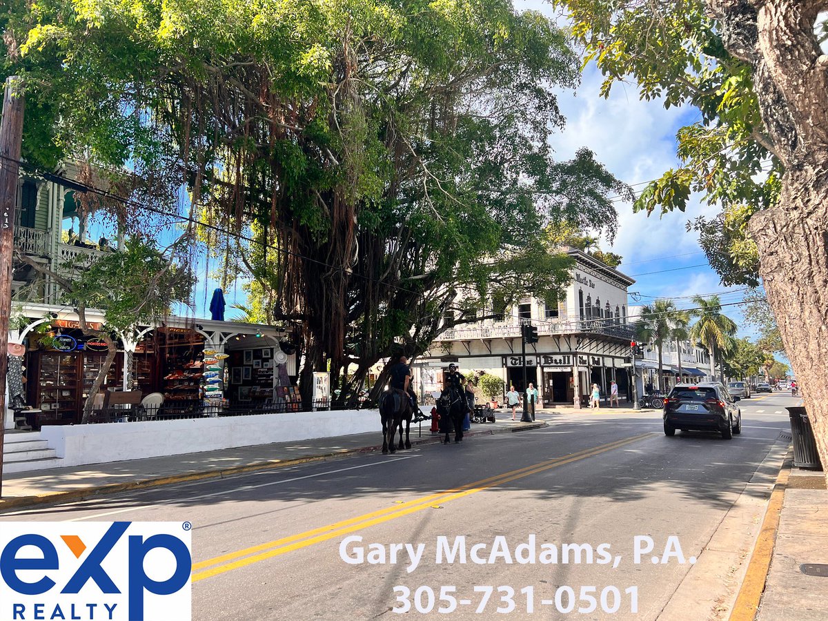 It's a beautiful day on Duval Street. Gary McAdams, Key West Realtor, eXp Realty, (305) 731-0501. #keywest #keywestrealestate #keywestrealtor #garymcadams #garymcadamsrealtor #FloridaKeysRealEstate #MLS #garymcadamskeywest #realestate #floridakeys #KeyWestHomesForSale #exprealty