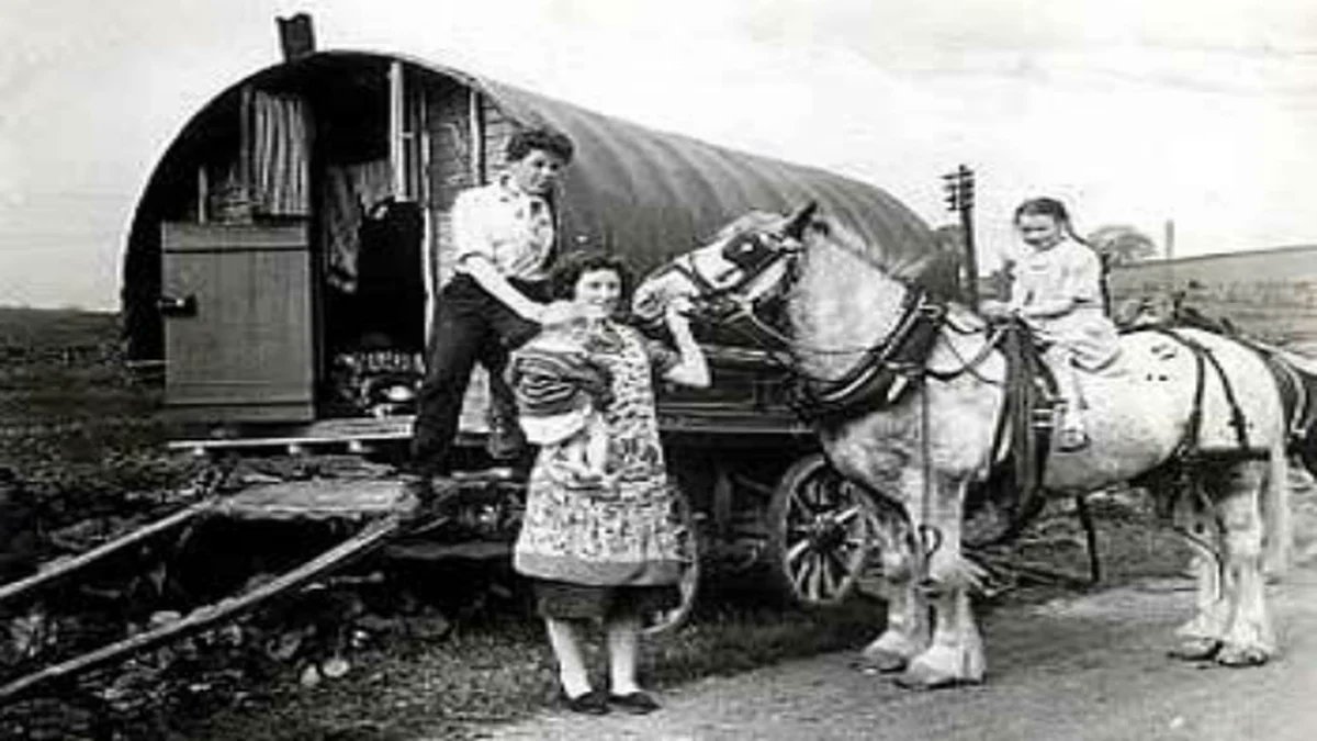 How Irish Traveller stories link us to the natural world. The traditional knowledge contained in Mincéir stories may help us to reconnect with the natural world, write @AnneMarieKavan6 & @trionacheile @DCU_IoE @DCU rte.ie/brainstorm/202…