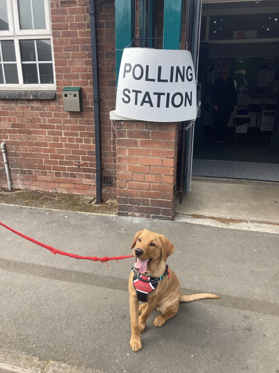 #dogsatpollingstations