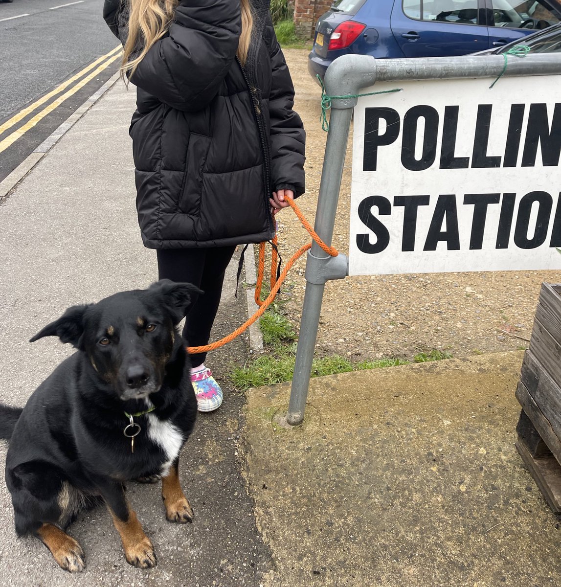 Digby and the youngest one and I have popped down the polling station #dogsatpollingstations