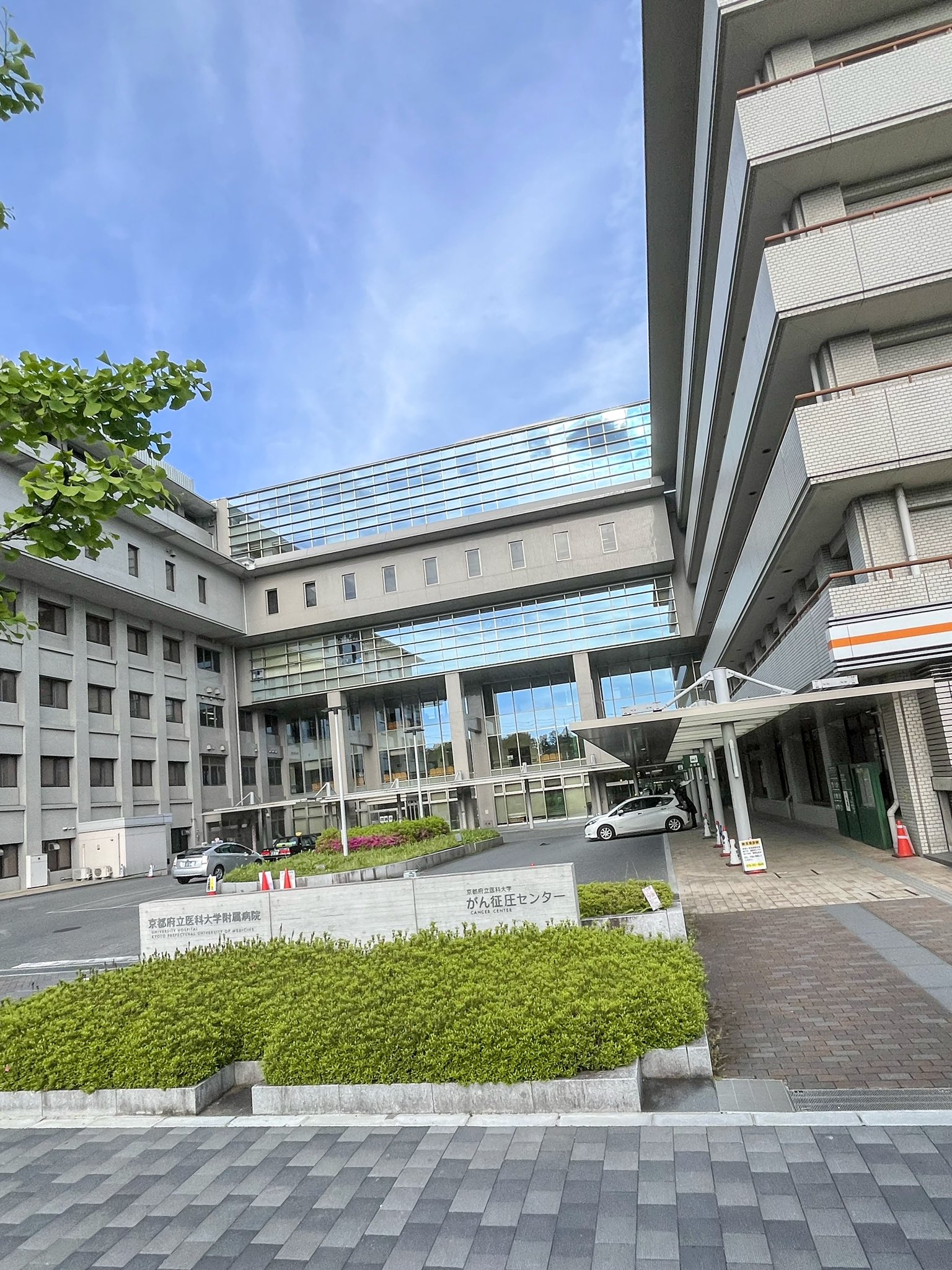 京都府立医科大学 95年 平成の京府医大数学 -1995年- - ちょぴん先生の数学部屋
