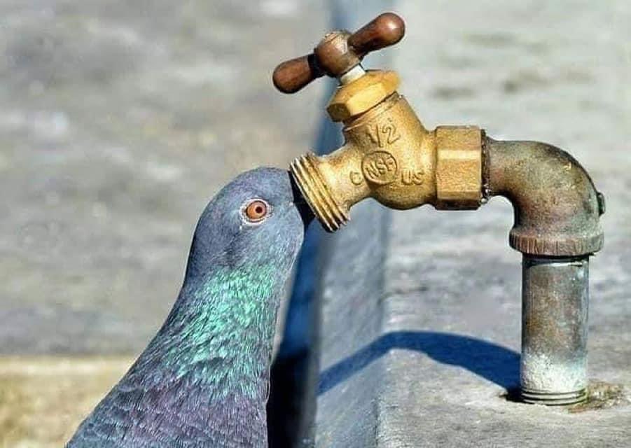 ((-बूंद बूंद क़ीमती है 
#savewater