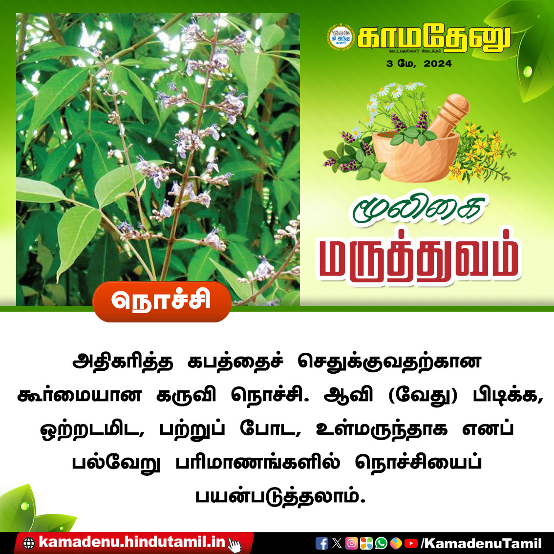 🍃மூலிகை மருத்துவம்🍃
#மூலிகைமருத்துவம் #மூலிகை #மருத்துவம் #herbal #herb #herbalmedcine #healthtips #healthcare #health #herbalremedy #ஆயுர்வேதம் #Ayurveda #kamadenutamildigitaltv