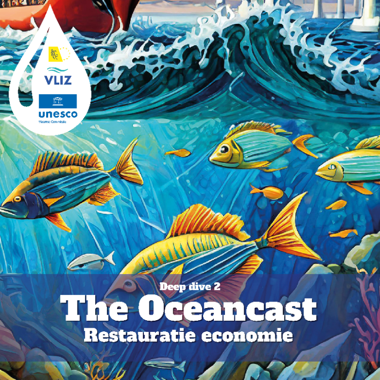 Flanders_DFA's tweet photo. 🌊 De tweede aflevering van The Oceancast focust op de ‘restauratie-economie’, gericht op het herstel, behoud en duurzaam beheer van mariene ecosystemen en hulpbronnen. Zo dragen we bij aan de ‘blauwe economie’💙https://t.co/CnrDdze6vv

@VLEVA #EU2024Flanders #LookAtUsGo https://t.co/nMJLtmnxd7