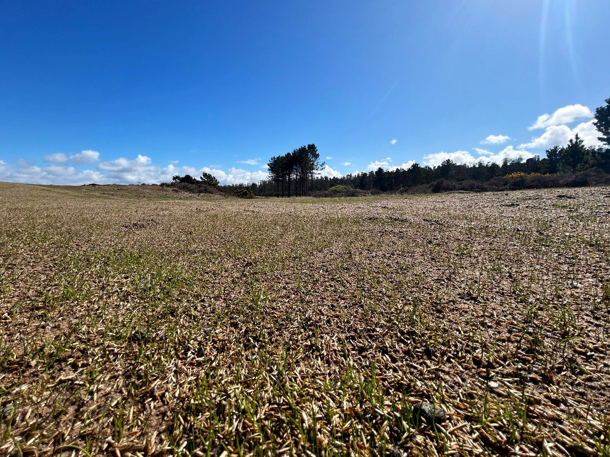 SpeyBayGC tweet picture