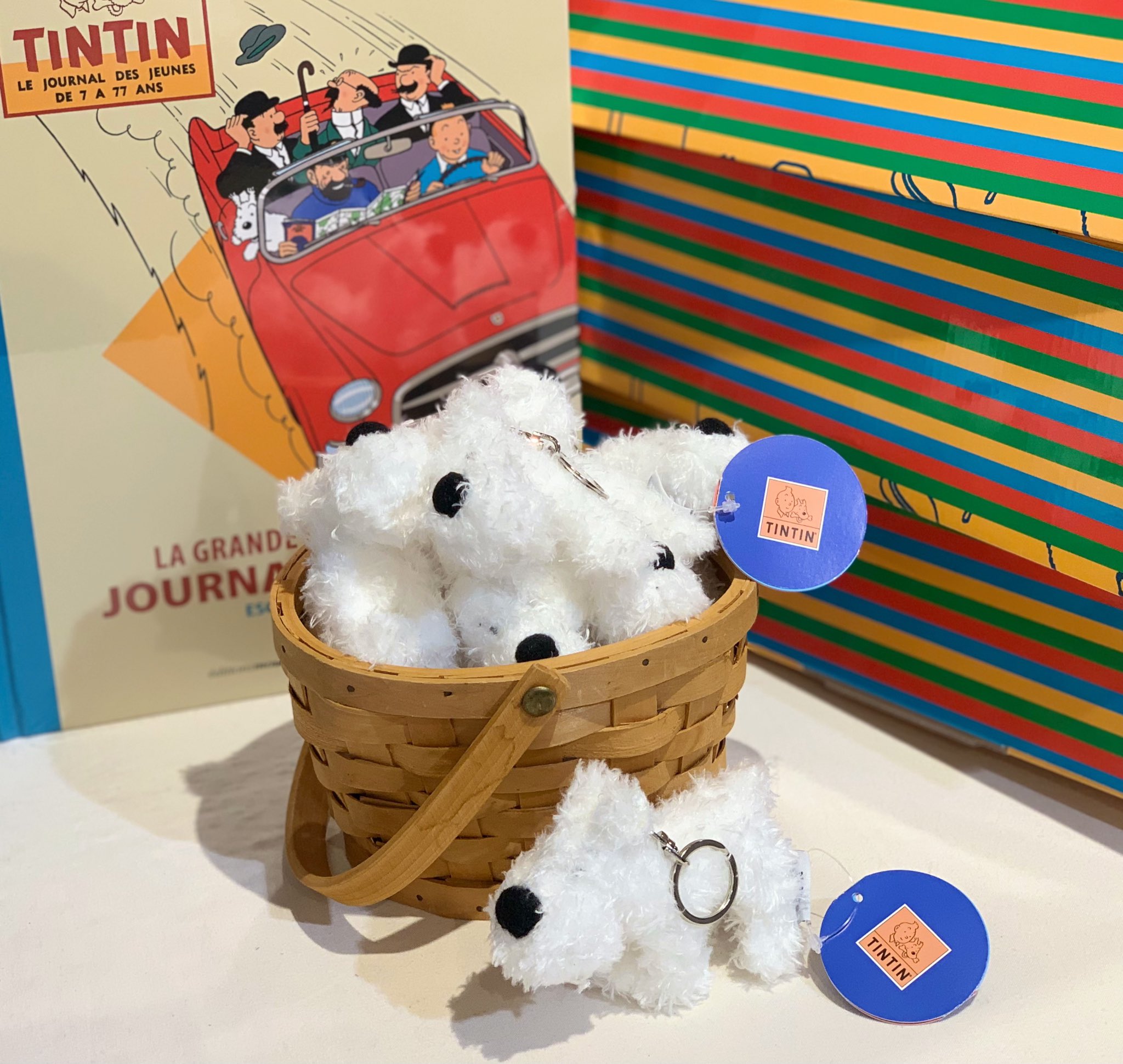 TINTIN JAPAN（公式） on X: 