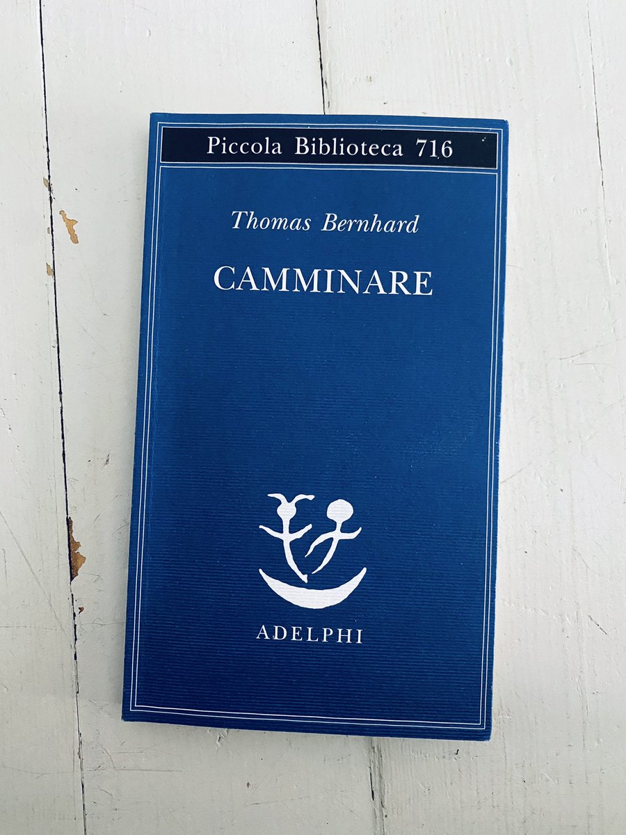 “È un continuo pensare fra tutte le possibilità di una mente umana e un continuo sentire fra tutte le possibilità di un cervello umano e un continuo essere trascinati di qua e di là fra tutte le possibilità di un carattere umano” Thomas Bernhard, Camminare