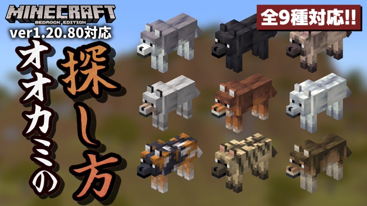 HelloMagMoe's tweet image. 【全9種】色違いオオカミ全種類のバイオームの特徴と探し ...
 
mag.moe/1792820/
 
#BedrockEdition #BLManga #Minecraft #オオカミ #バイオーム #マイクラ #マインクラフト #全種類 #探し方 #統