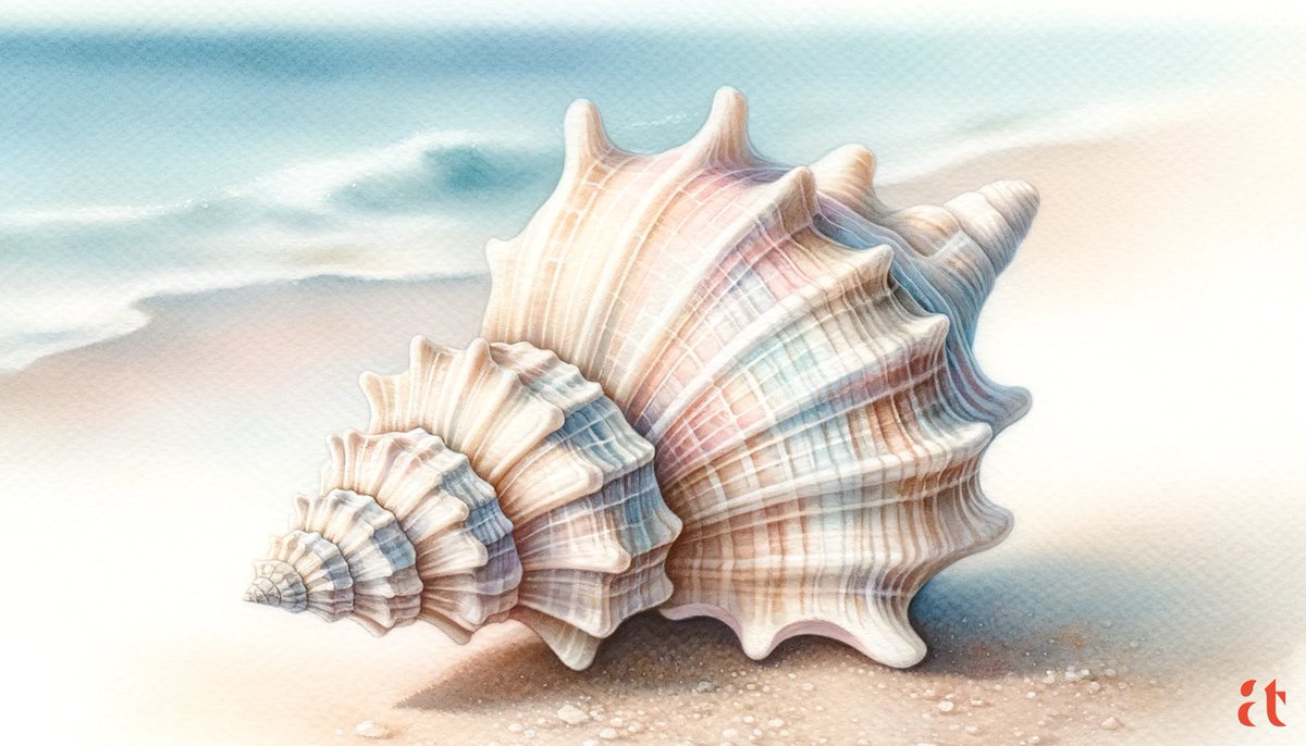 Seashell’s Whisper by Aravind Reddy Tarugu #AravindReddyTaruguArt #Aravind #Reddy #Tarugu #AravindReddyTarugu #SeashellWhisper #WatercolorShell #SandyTextures #OceanicPatterns #ArtisticSeashell #DigitalPastels #NaturalArtistry #DelicateShell deviantart.com/aravindtarugu/…
