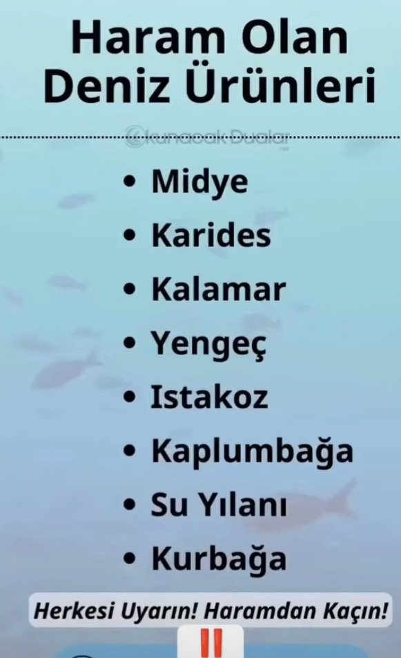 Bakın, sizi uyarıyorum. Bunlar 'Haram' 'dır. Sonra,'yok bilmiyordum,kazayla yedim' demeyin. Bol bol yiyin( sondaki üç taneyi yemeyin🤣)😏😏😏