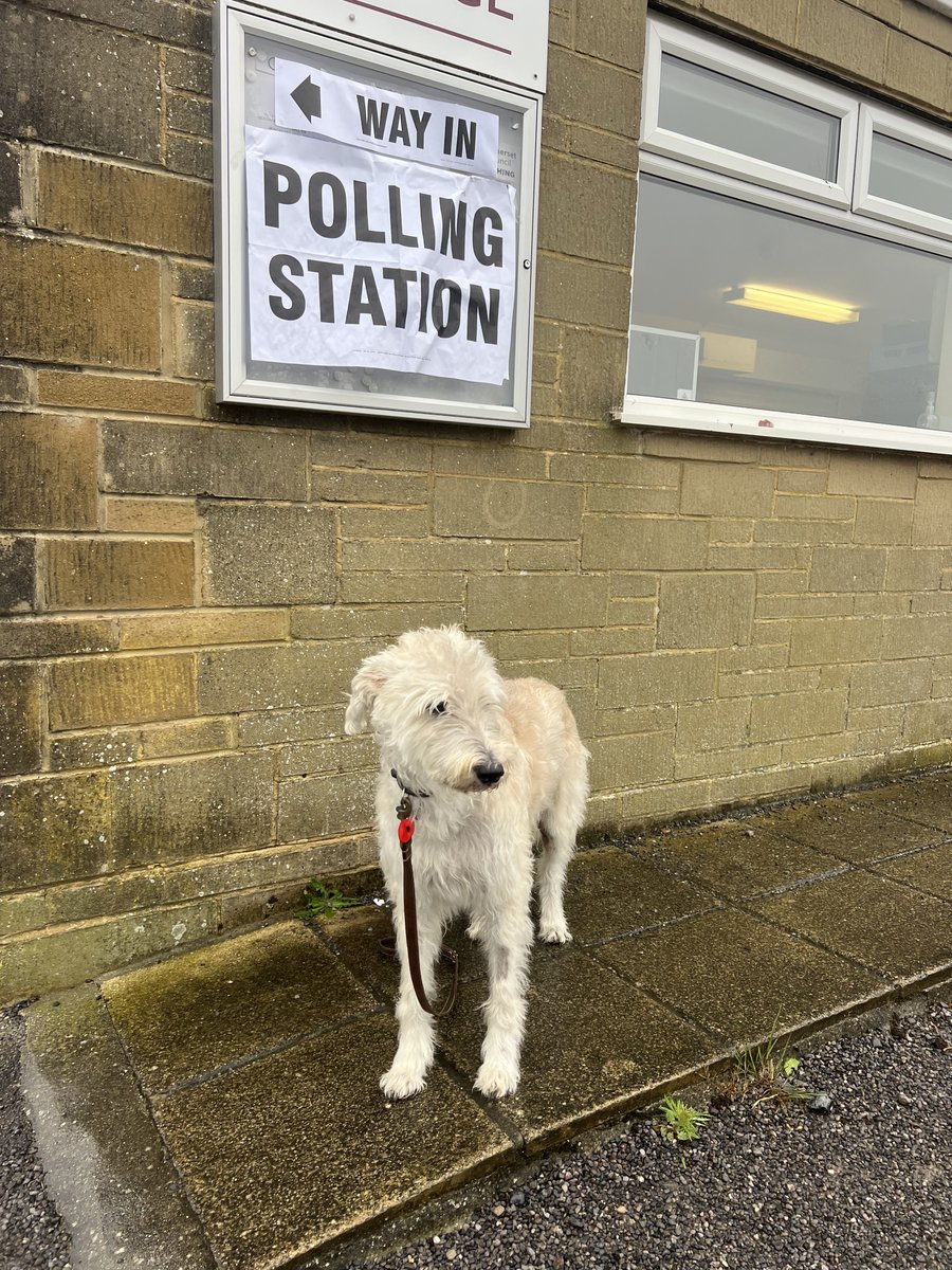 Please put your paws together for Alan and Charlie, snapped at polling stations this morning! 👏📸🐶 We want to see more of Somerset's #DogsAtPollingStations, show us your pics 🤩 It's not too late to vote in today's PCC election - open until 10pm, bring photo ID. #SomersetVotes