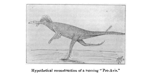 Dr. Baron Francis (or Franz) Nopcsa was born #OTD in 1877. In @JZoology's free to access 'Hidden Gem' from 1907 he examines the mechanisms and development of flight in pterosaurs, mammals, dinosaurs and birds: …lpublications.onlinelibrary.wiley.com/doi/full/10.11… More 'Hidden Gems': …lpublications.onlinelibrary.wiley.com/hub/journal/14…