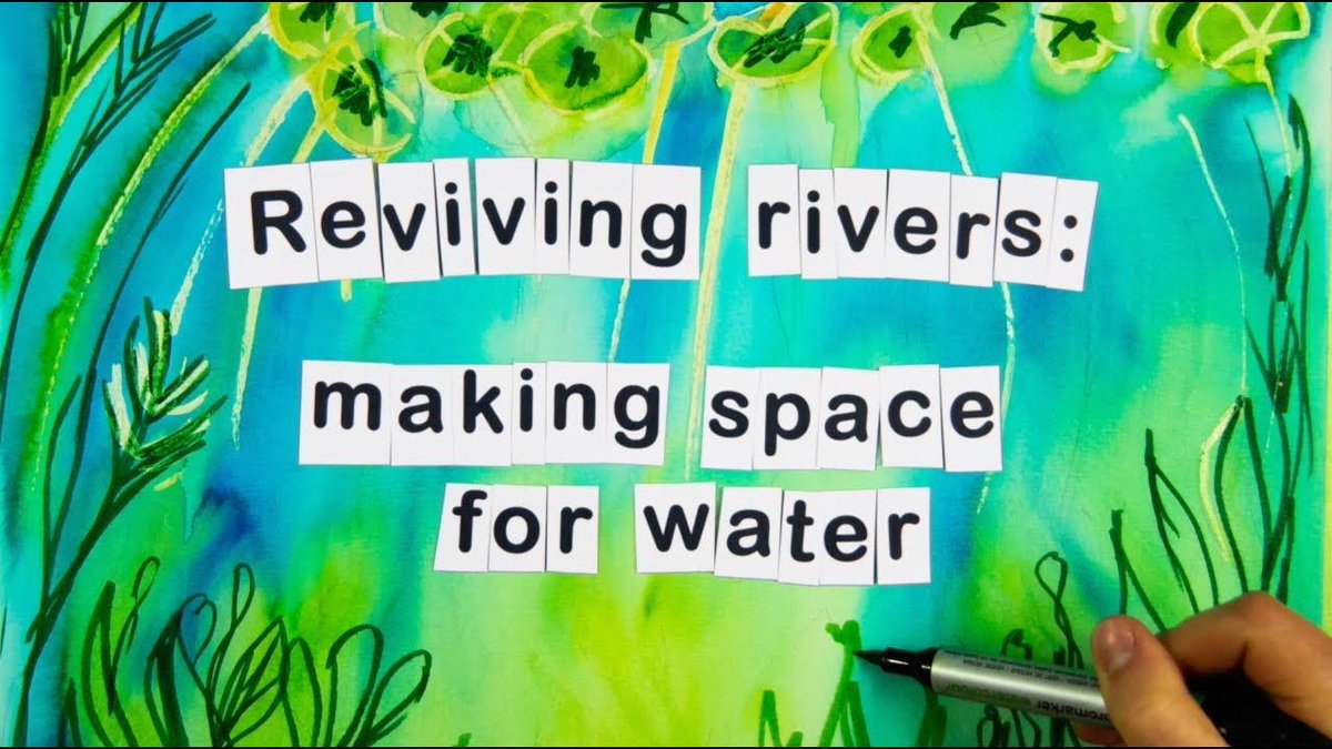 Check out this lovely stop-motion animation ' Reviving Rivers: Making Space for Water' by the Beaver Trust about how improving our waterways can help us create a wilder future 🦫 buff.ly/3Un3YnJ