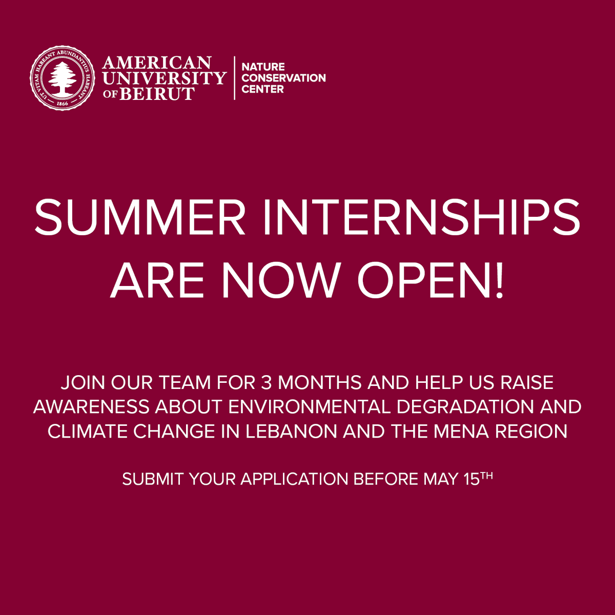 Ready to join AUB-NCC as an intern this summer? Apply now to our 3-month #internship program! 🔗 daleel-madani.org/civil-society-…