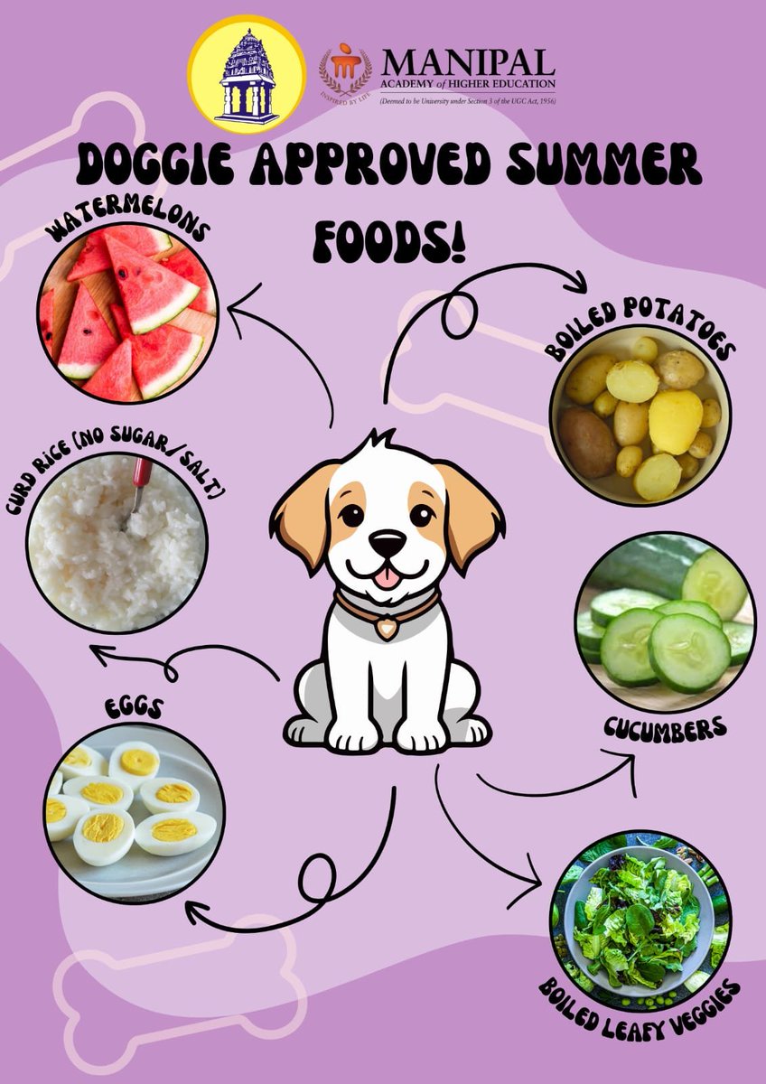 Hot weather, cool treats! 

Help your fellow furries stay safe in the scorching weather with these foods.

#SummerSafety @BBMPAdmn @BBMPCOMM @AHVS_Karnataka
