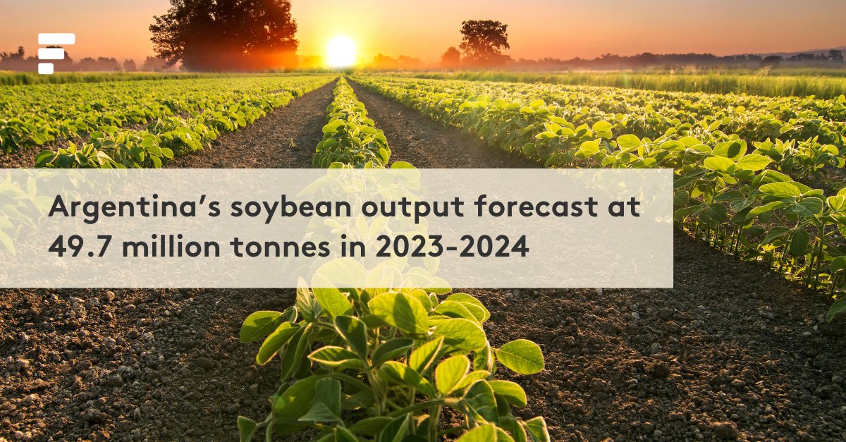 🌎 Argentina is set to regain its status as the leading global soy meal exporter in 2023-2024, with its soybean output forecast at 49.7 million tonnes, up 99% from the previous year. 
Learn more: fmrkts.com/3y3apot

#FastmarketsAgriculture #soybean #grains #oilseeds