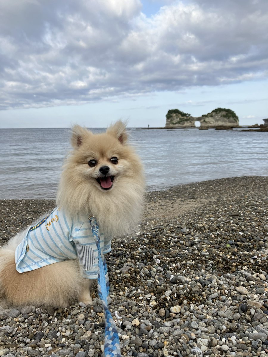 そうだ
和歌山いこう🐾