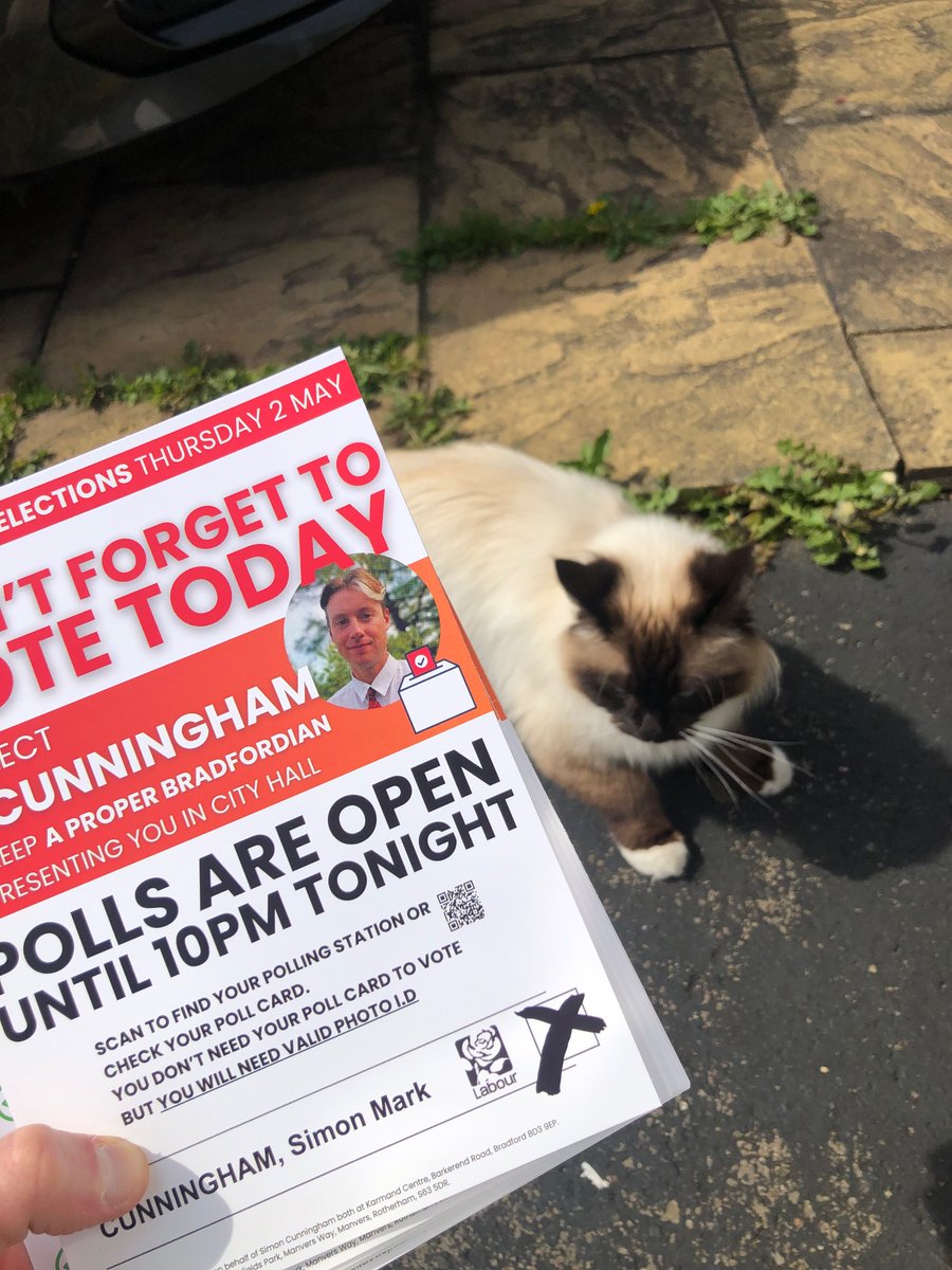 This gorgeous cat knows what to do today 🗳️ Polls open til 10pm