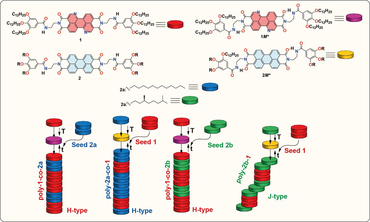 Alfonso and Fátima have done an excellent work on the kinetically controlled co-assembly of complementary PDIs!!! You can find the complete study in @ChemicalScience 👉 pubs.rsc.org/en/content/art…