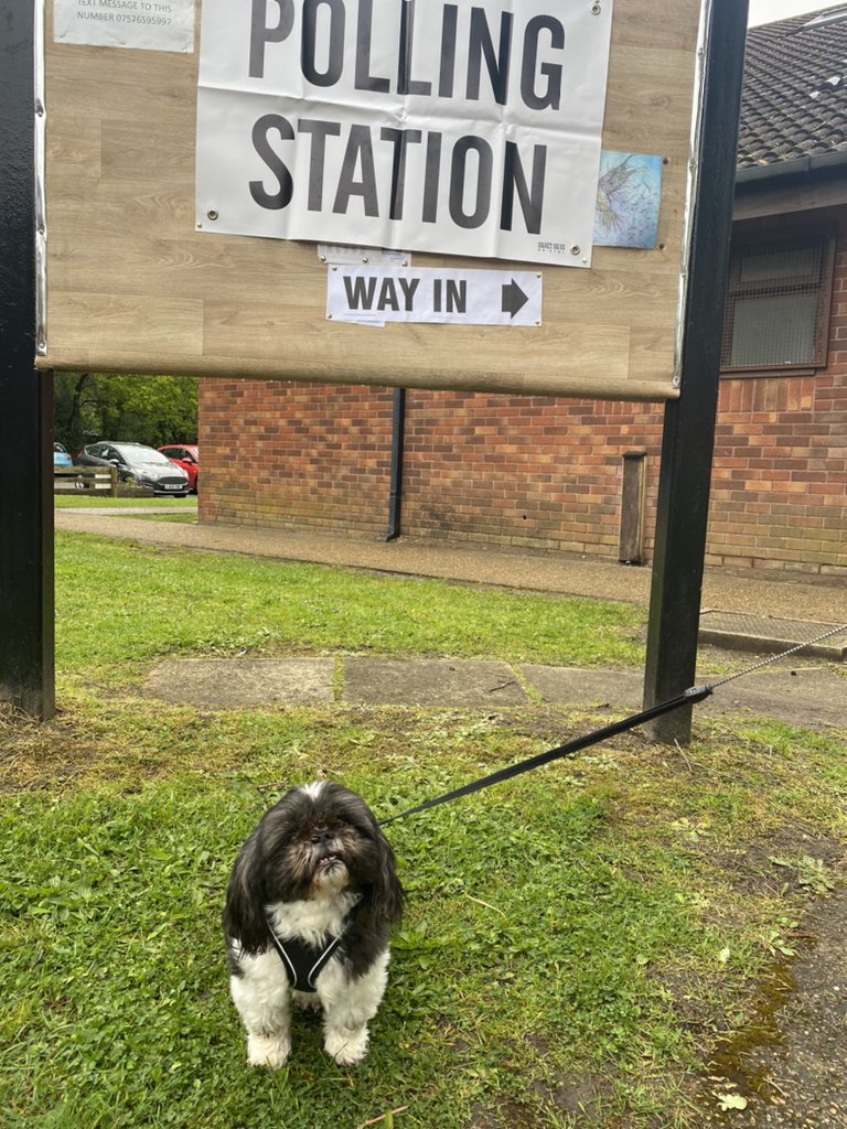 barney ready to exercise his democratic right #dogsatpollingstations