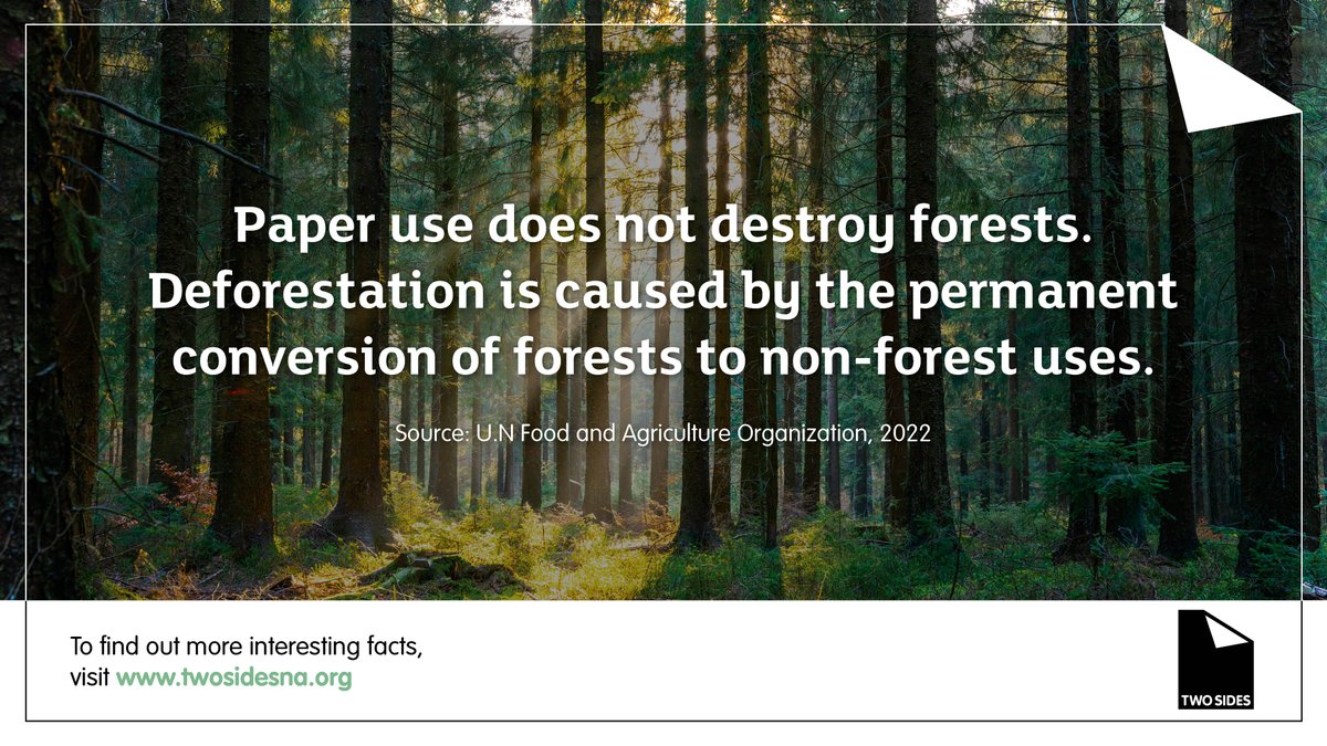 U.S. forests are a renewable natural resource and are not shrinking. Our forests are continuously replenished with sustainable forest management practices. Learn more: pulse.ly/zouwgxfgsm