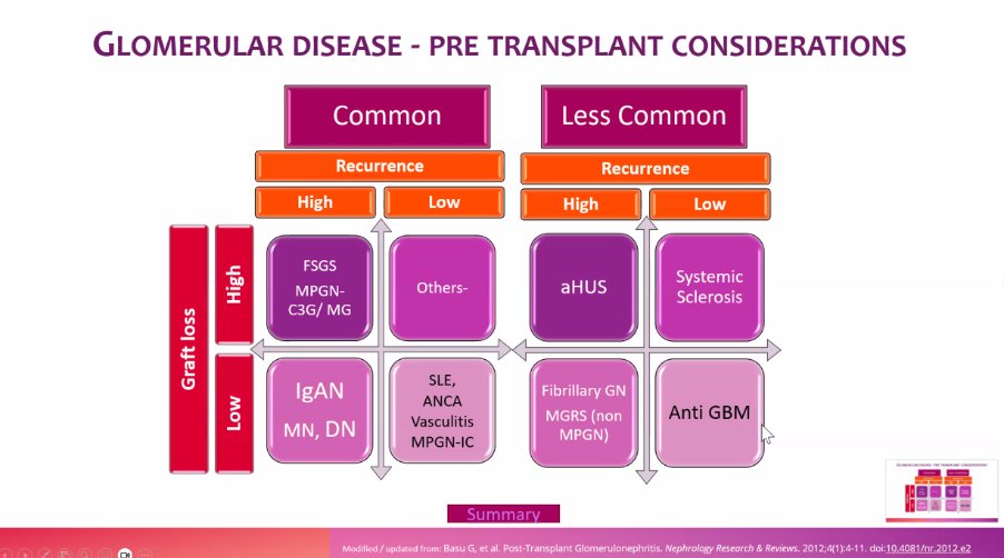 nephrologista's tweet photo. Glomerular Diseases in Transplantation @GlomCon Fellowship Podocin today - a tour de force w @BasuNephro + @bottomleymatt @AndreasKousios1 &amp; Wai Lim leading case discussions https://t.co/VgH54o9QXG