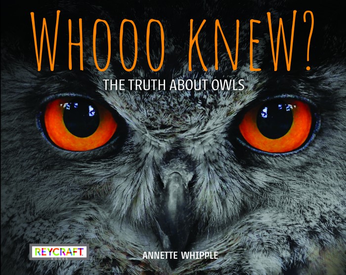 Because you need some cuteness in your life: Check out @WBU_Inc 's #owlcam. The owlets are irresistible. And when you're curious to know more, check out my book WHOOO KNEW? THE TRUTH ABOUT OWLS with @ReycraftBooks. wbu.com/owl-cam/