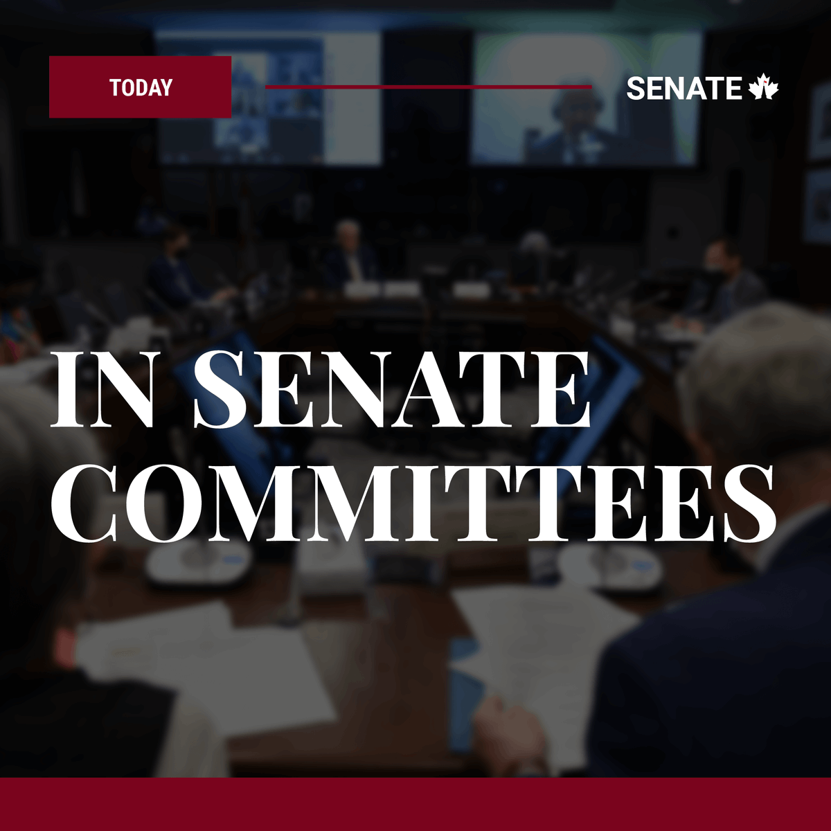 Committee topics: #POFO #Fisheries #CIBA #ENEV #C226 #EnvironmentalRacism #EnvironmentalJustice #BANC #S243 #CAFA #AEFA #Africa #SOCI #S249 #LCJC #S15 #Wildlife

Full schedule: ow.ly/98uL50PZrA1

#SenCA #CdnPoli