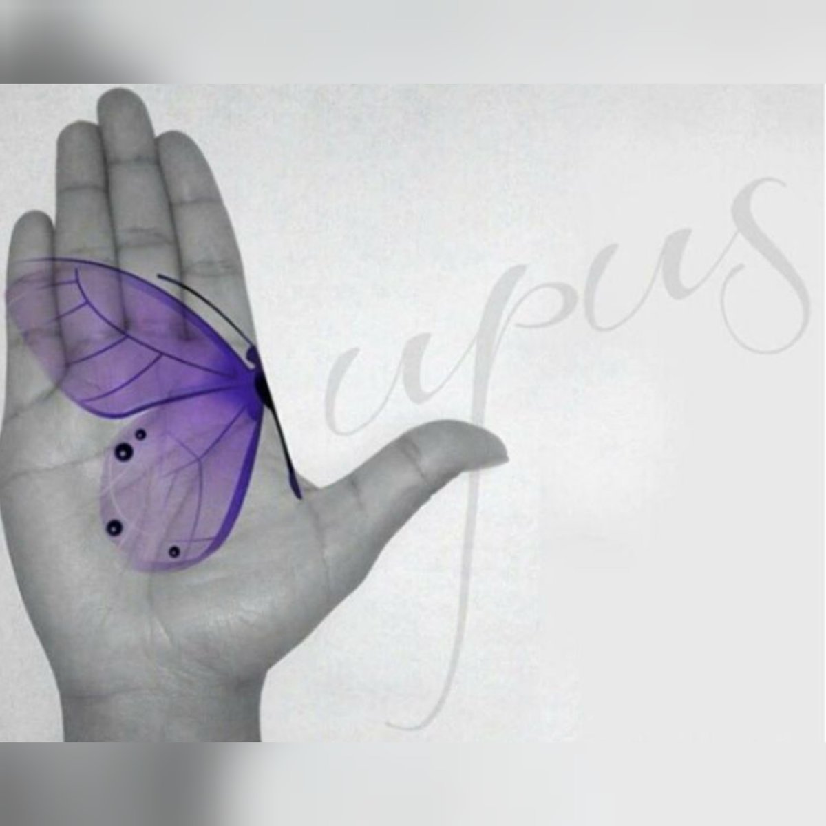 #Lupus 💜🦋💜
Aumentar educación 📚 y visibilidad son esenciales para crear una cultura👥 de comprensión y apoyo 💜

Raising Awareness and Visibility 📚  are essential to creating a culture 👥  of understanding & support
#LupusChat #ffpaciente #LupusAwarenessMonth
#30DiasLupus