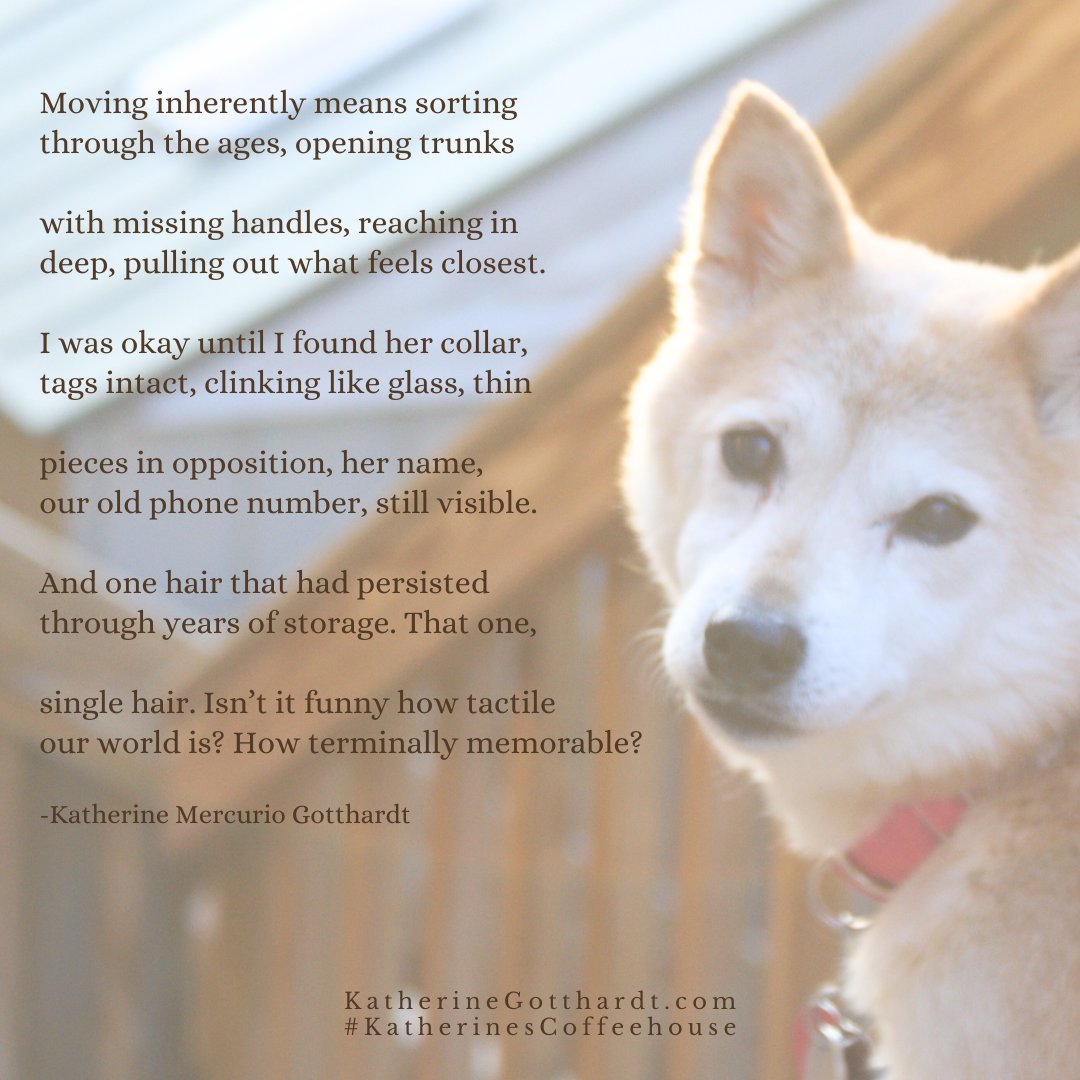 As we move - furniture, homes, in another direction, wherever - we discover things we forgot we have saved. And we are reminded, aren't we? 

#KatherinesCoffeehouse #poetry #poem #metaphors #pets #dogs #memories
