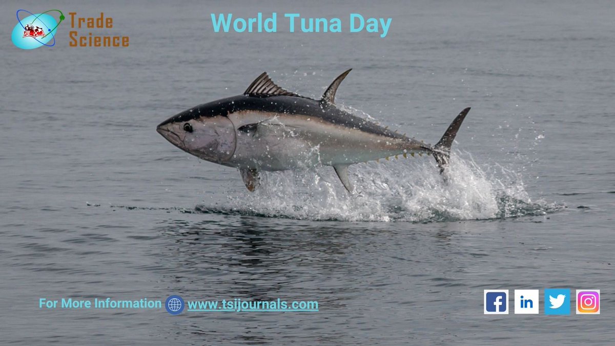 tsi_journals's tweet image. tuna fish is packed with Omega-3 fatty acids, protein, and essential vitamins and minerals? 🐟🌊 Learn more about the health benefits of this delicious seafood in our latest article! #TunaFish #HealthyEating #SeafoodBenefits