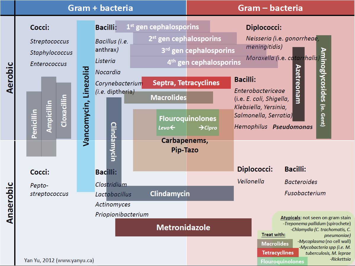 Bacteria and Antibiotics Coverage Table (Yan Yu) #MedX