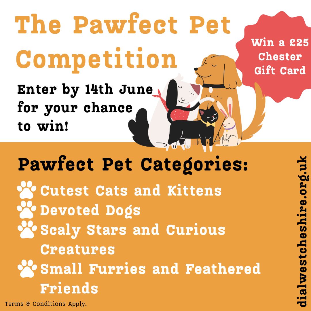 📣 Competition Time! 📣 We are looking for the Pawfect Pets, past or present, to take part in our virtual Pet Show. 👉 Find out more and enter: buff.ly/4a4Nkiv #Disability #IndependentLiving #Chester #ShopmobilityUK @ChesterBID @ShitChester @ChesterTweets @ChesterVol