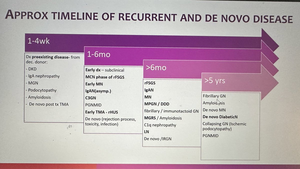 SayaliBThakare's tweet photo. A special day at @GlomCon today with @BasuNephro expounding the complexities of recurrent GN post🫘Tx. Lots of concepts, data, takeaways &amp; great slides!

Well done with the illustrative case on rec FSGS @nyiminhan 👍🏻

Quoting @nephrologista
‘A tour de force on current evidence’🎖️ https://t.co/N17j63CGEe