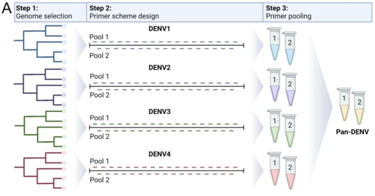 Our validated protocol for pan-serotype sequencing of dengue virus - led by @VogelsChantal, @viralverity, and our amazing collaborators - was published *open access* in BMC Genomics (@BMC_series). Reach out if you need any help setting it up Details 👇 bmcgenomics.biomedcentral.com/articles/10.11…