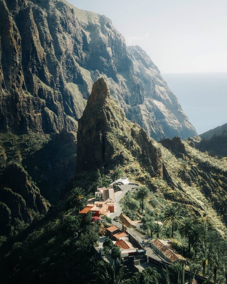 Tenerife, Spain 🍃