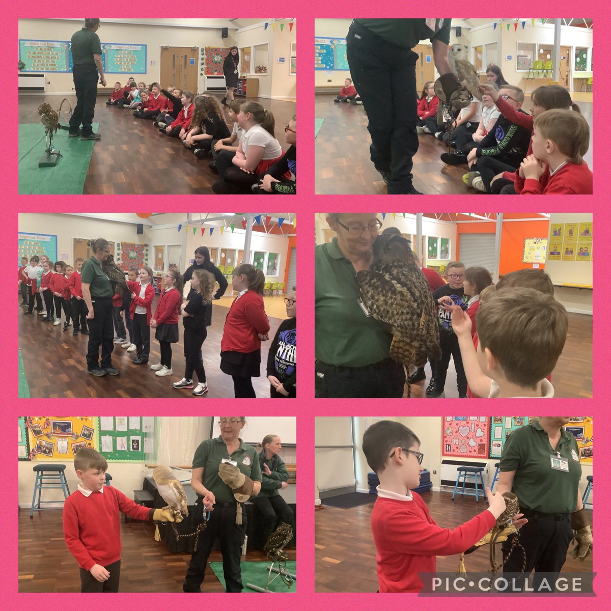 Year 3 Dragonflies had an amazing visit from @EbbwSanctuary. We meet some amazing owls and even got to learn some fascinating facts!