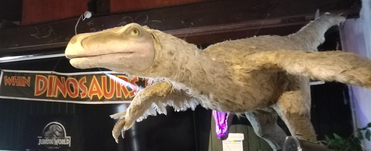 Our dinosaur museum on Humber Street @FruitMarketHull is open every day during the May Day Bank Holiday weekend, including Bank Holiday Monday, 11am to 5pm each day. Visit our dinosaurs in Hull this weekend!