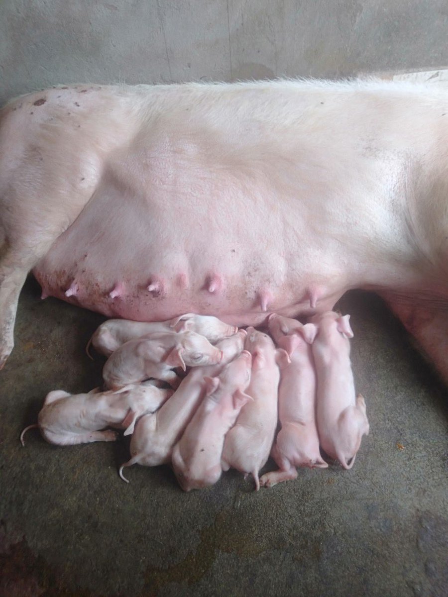 Mẹ tròn con vuông😊