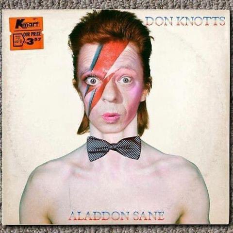 This may be my new favorite thing. @DavidBowieReal #DonKnotts #albumsyoumusthear #AlbumCovers
