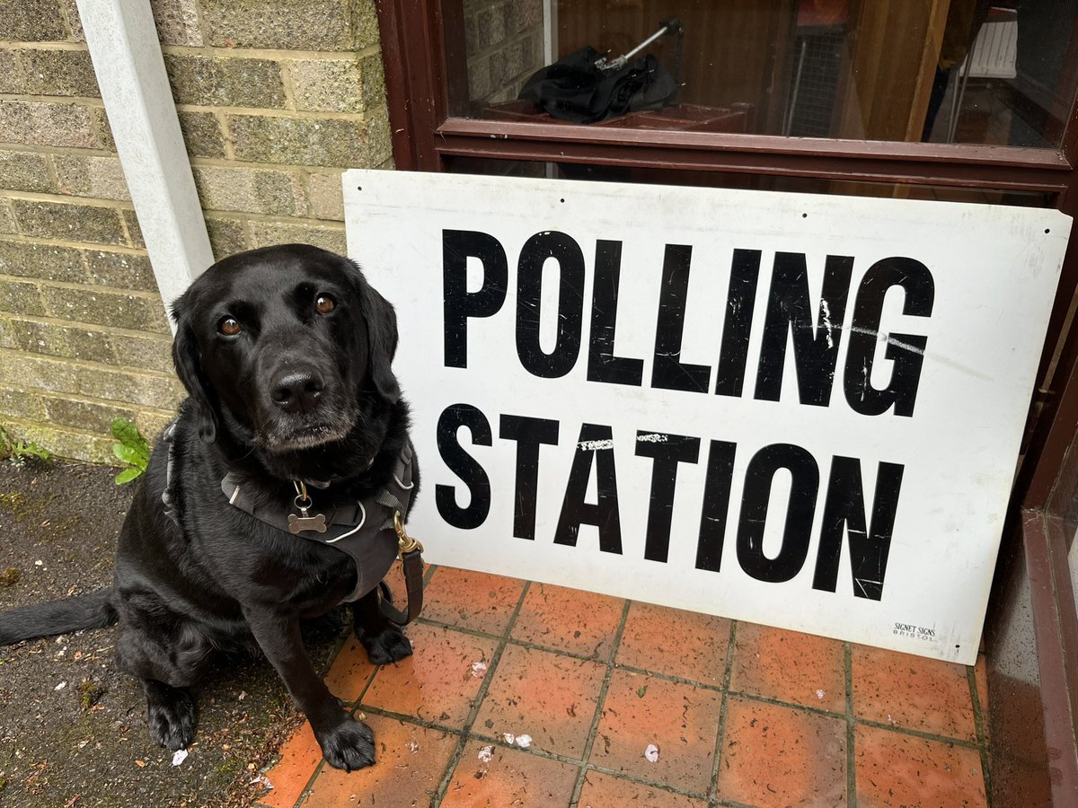 We’ve voted #newforest #dogsatpollingstations #LocalElection #LocalElections2024