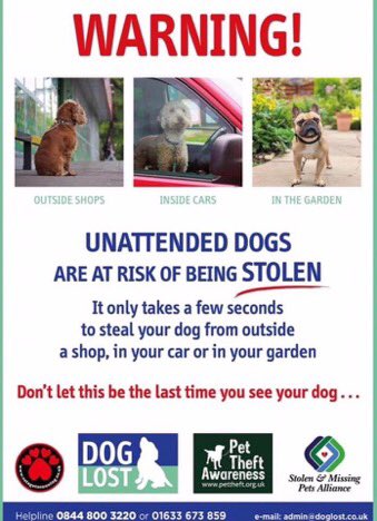 ‼️⚠️‼️PLEASE ... on Polling Day & everyday BE #PetTheftAware 
It is NEVER safe to leave your #DogsAtPollingStations ALONE & UNATTENDED ...
It is NEVER safe to leave your dog alone/unattended ANYWHERE
The minute you leave them may be the last time you see them
#MissingNeverHeals