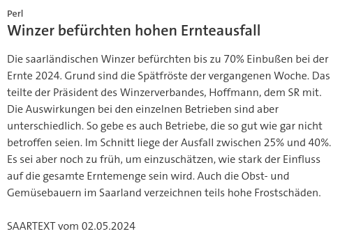 #SKK20240502 #SAARTEXT Die saarländischen Winzer befürchten bis zu 70% Einbußen bei der Ernte 2024. | #Saarland #Perl #Winzer #Ernteausfall #Frostschäden