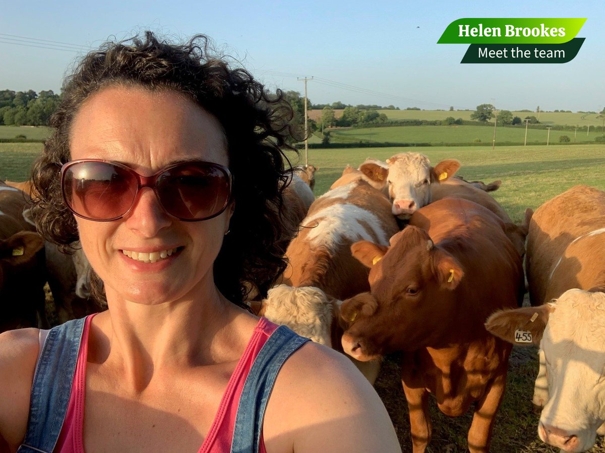 Our Meet the Team series profiles the individuals who make up the new UK Agri-Tech Centre, offering you a glimpse into their stories and their ambition for the sector. Kicking off the series is Helen Brookes, our Engagement Director. ➡️ Read more here: ow.ly/Tb8050RuFyP