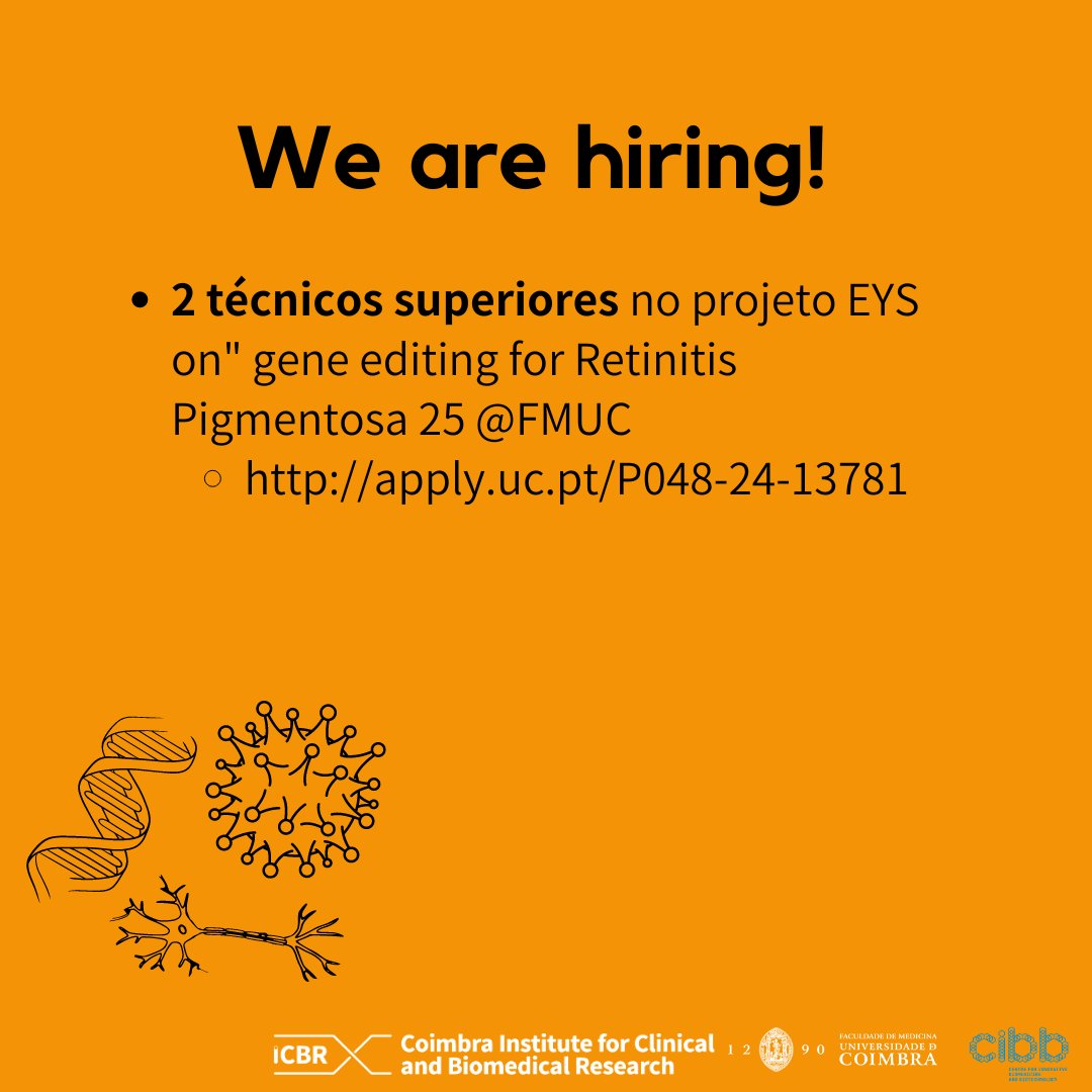 🧶📣 𝟮 𝘀𝗲𝗻𝗶𝗼𝗿 𝘁𝗲𝗰𝗵𝗻𝗶𝗰𝗶𝗮𝗻𝘀 within the scope of the project "EYS on" gene editing for Retinitis Pigmentosa 25". The work is being carried out at <a href="/befmuc/">FMUC - Faculdade de Medicina da U Coimbra</a> . Apply at apply.uc.pt/P048-24-13781 by 𝟭𝟱/𝟬𝟱!