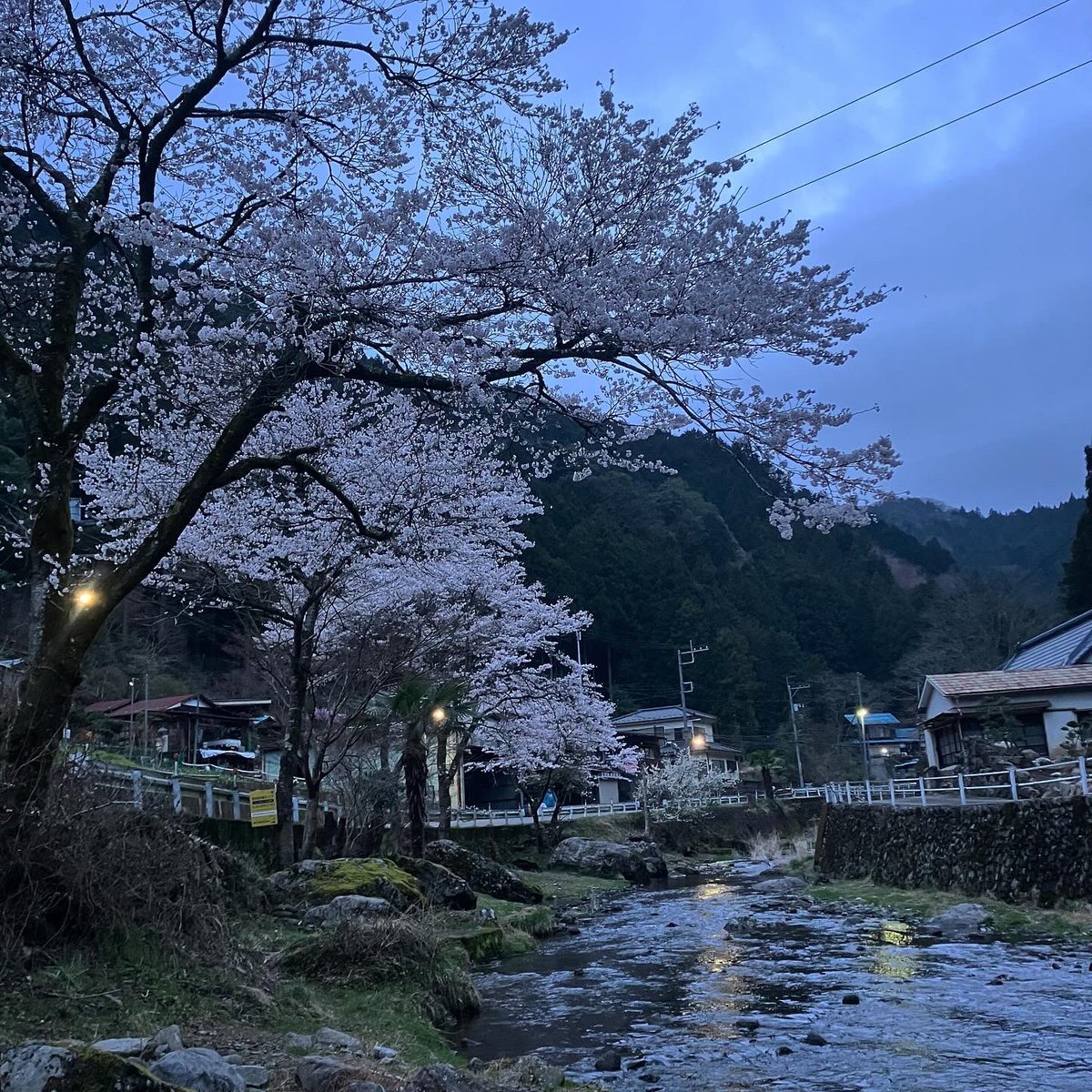 ４月７日…
今年初の渓流散歩。。。🎣

#japan
#imagine
#mementomori
#shadowsandlight
#養沢毛鉤専用釣場
#陰陽
#徒然なるままに
#生きる
#déjà_vu
#デジャヴュ
#心の色
#心象風景
#渓流散歩
#その先にあるもの
#flyfishing
#そして
#yamame
#rainbowtrout 
#夜桜
#心に問い
#心と対話する