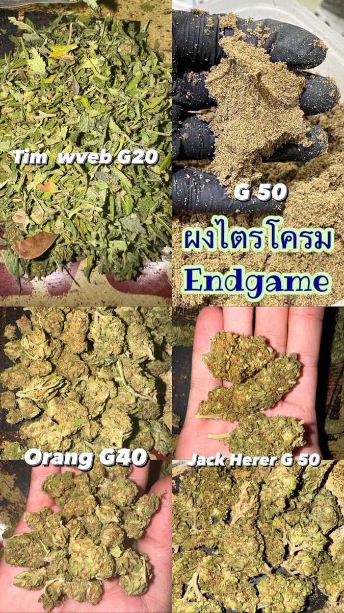 ___owen ___ (@o_feun) on Twitter photo 