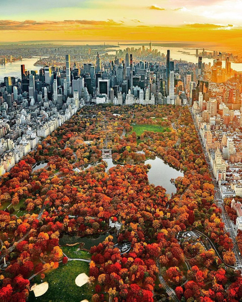 Aerial view of Central Park, NYC